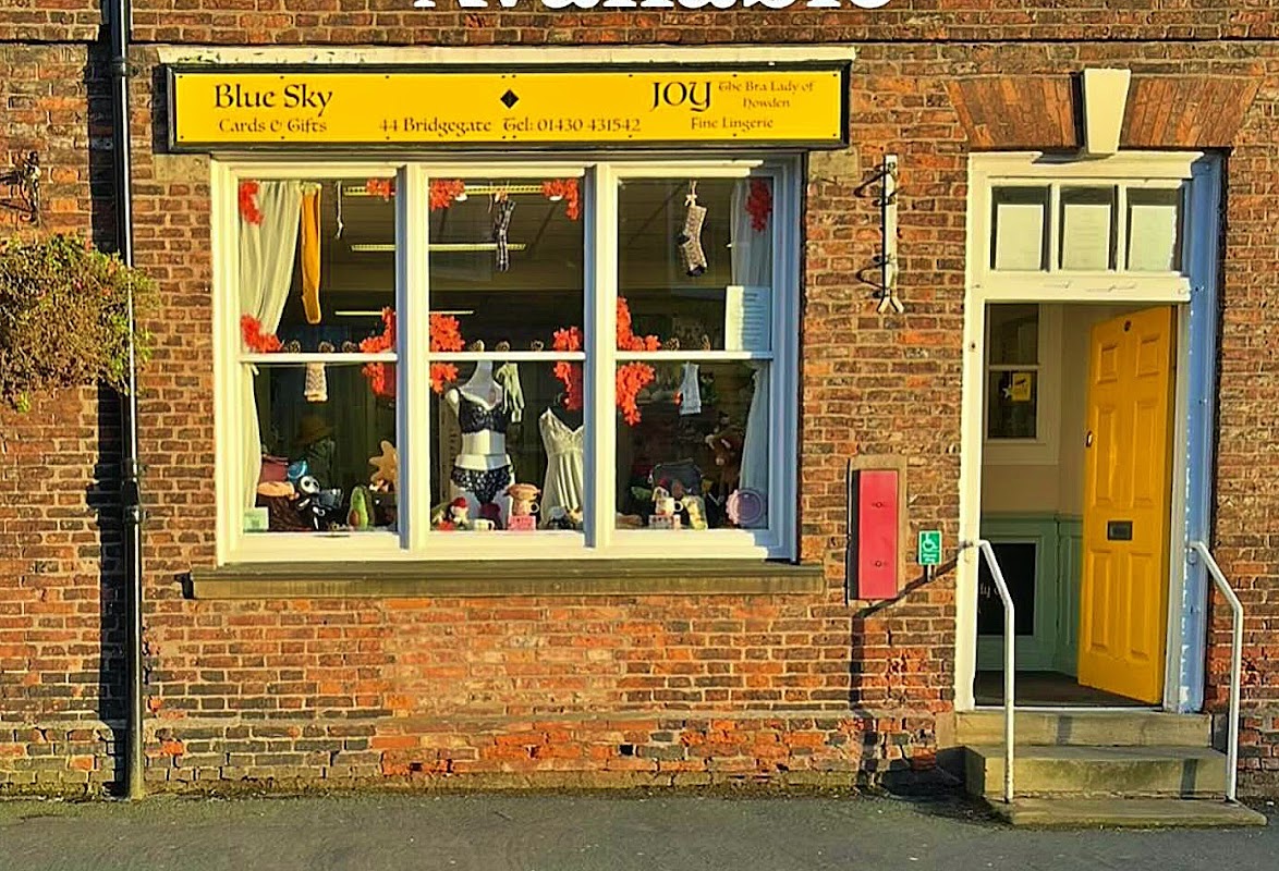 Blue Sky & Joy - Bra Lady of Howden