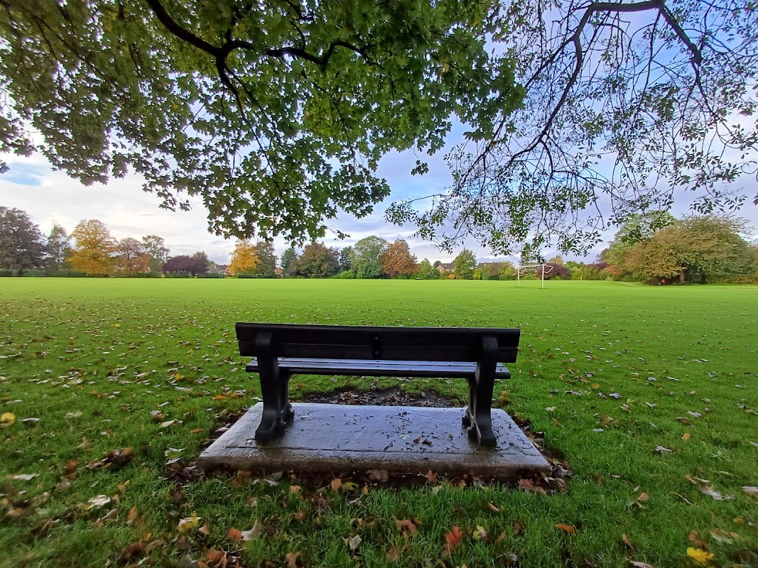 The Ashes Playing Fields