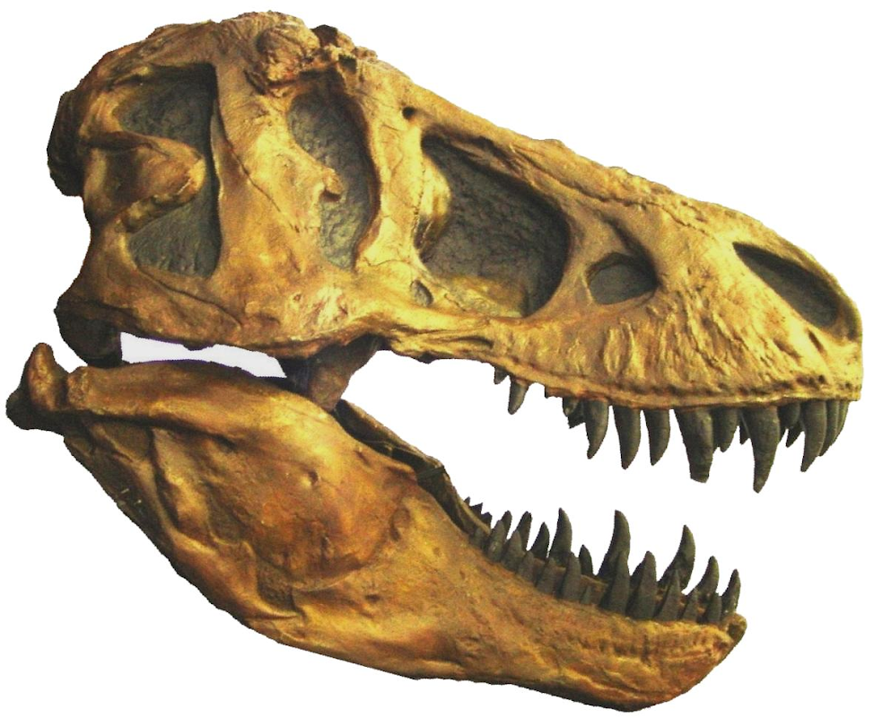 Dinostar