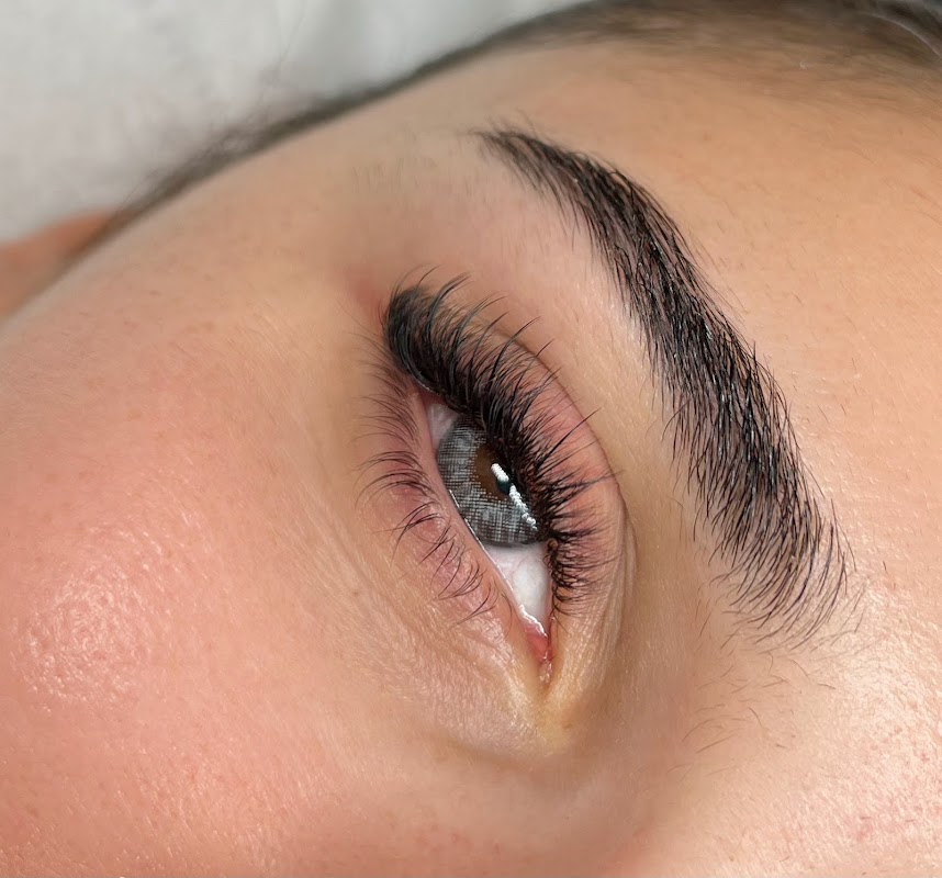 House of Lashes & Brows