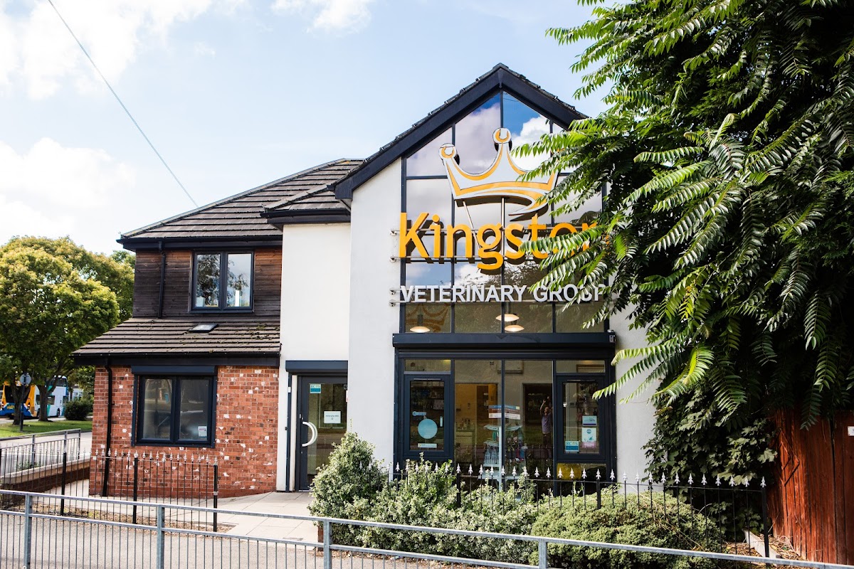 Kingston Veterinary Group - Holderness Road