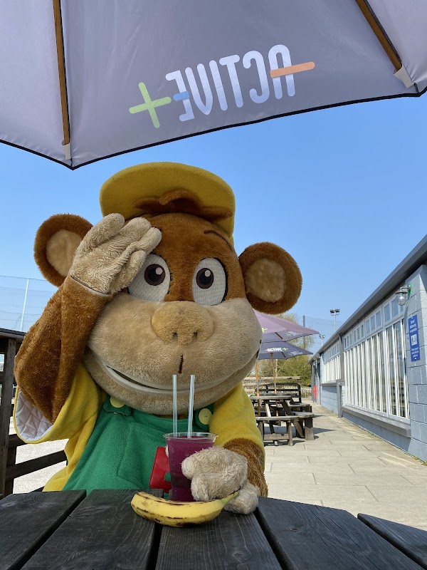 Little Monkeys @ Active+