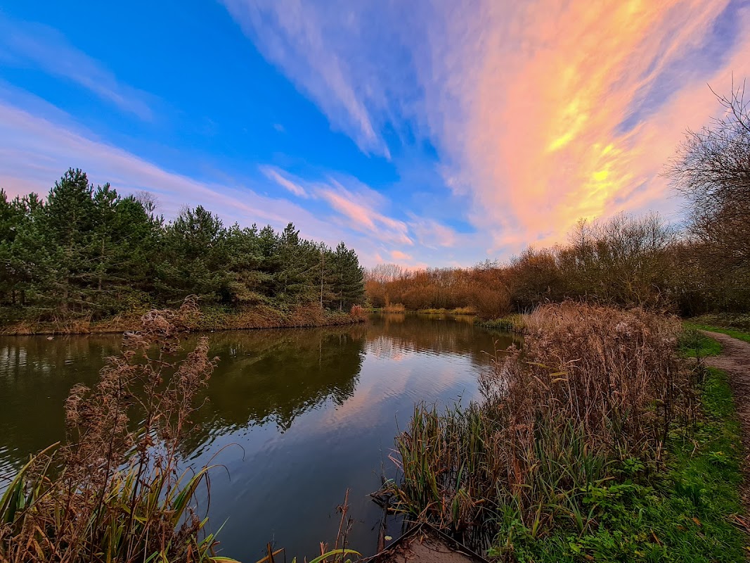 Noddle Hill Way Nature Reserve