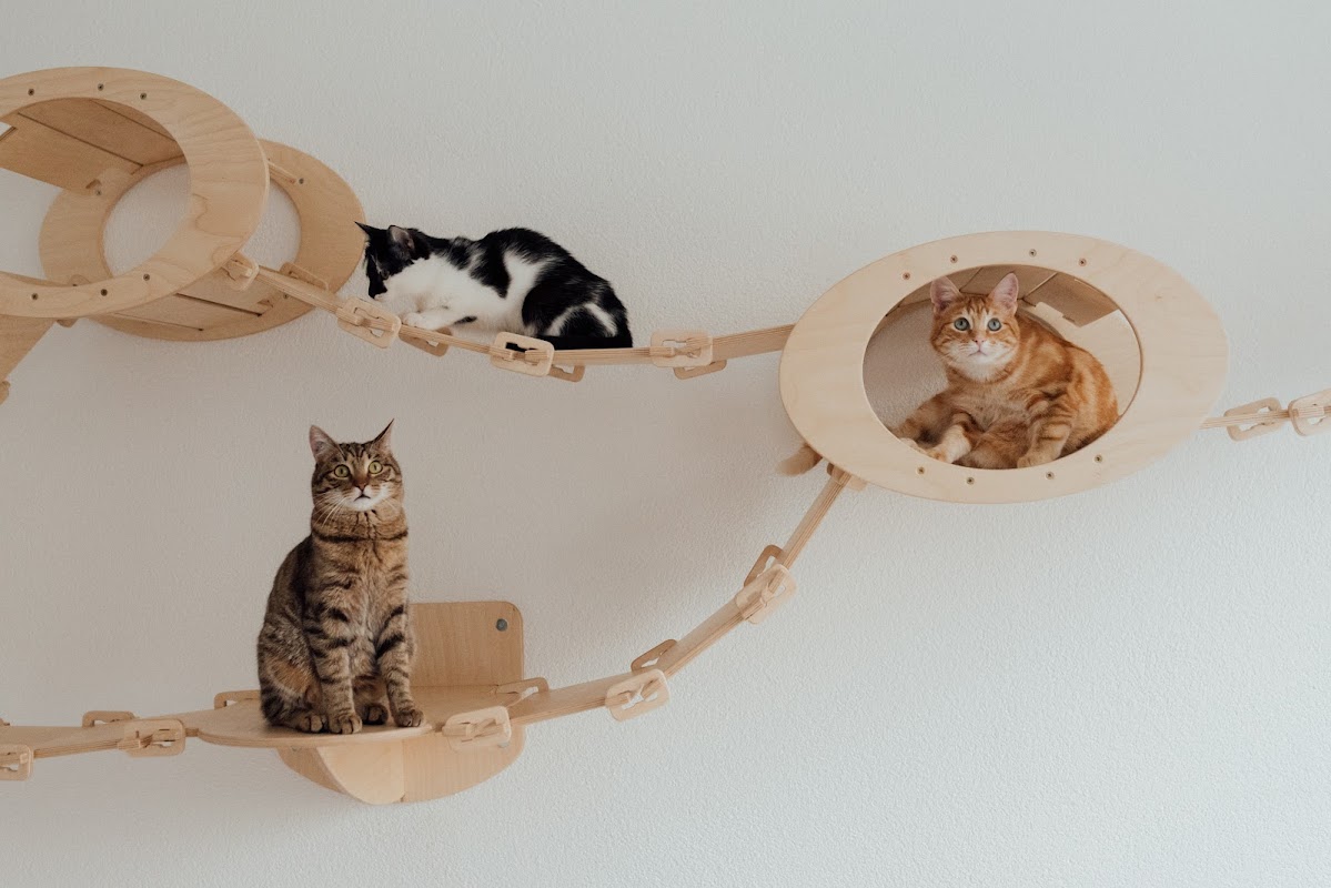 petsandus