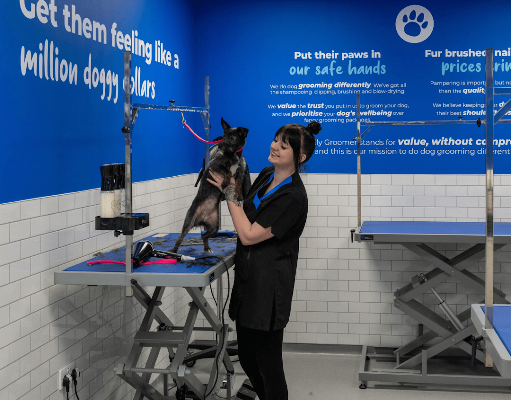 The Jolly Groomer - Hull