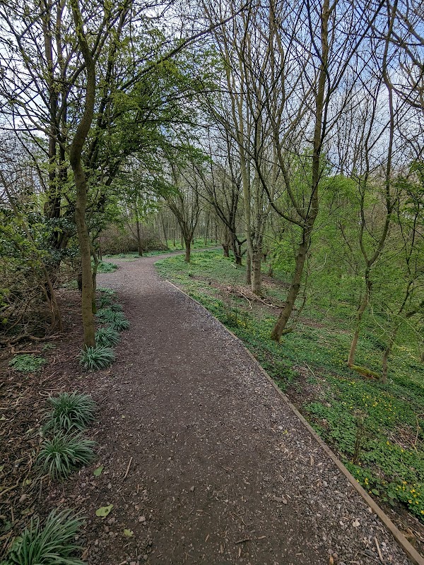 Centenary Wood