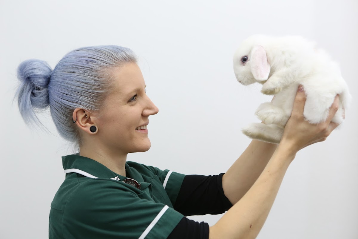Ashlands Veterinary Centre, Ilkley