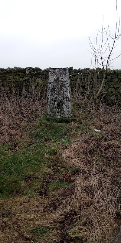 Ling Park Trig point