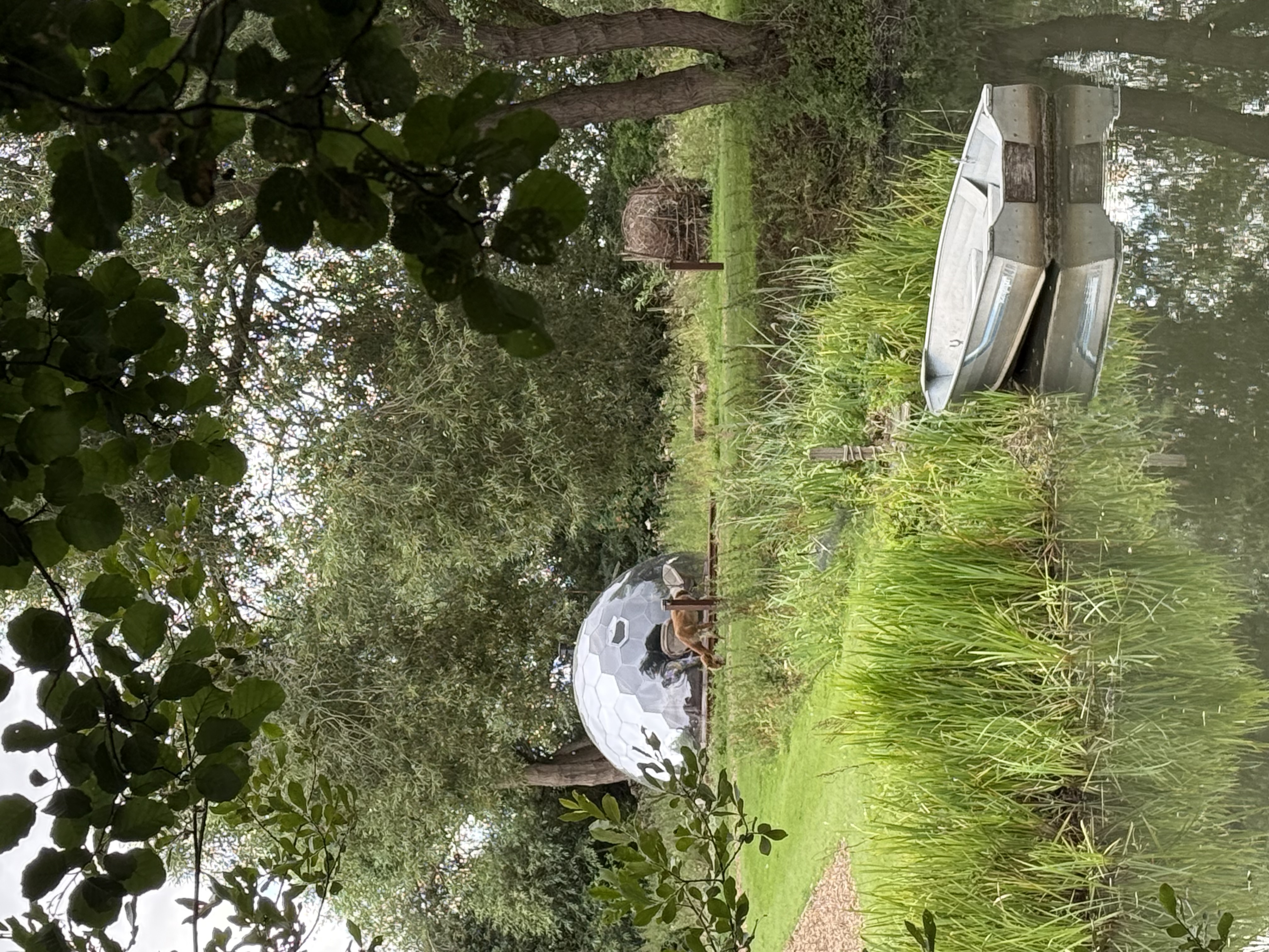 Glamping dome by a tranquil pond with lush greenery and trees
