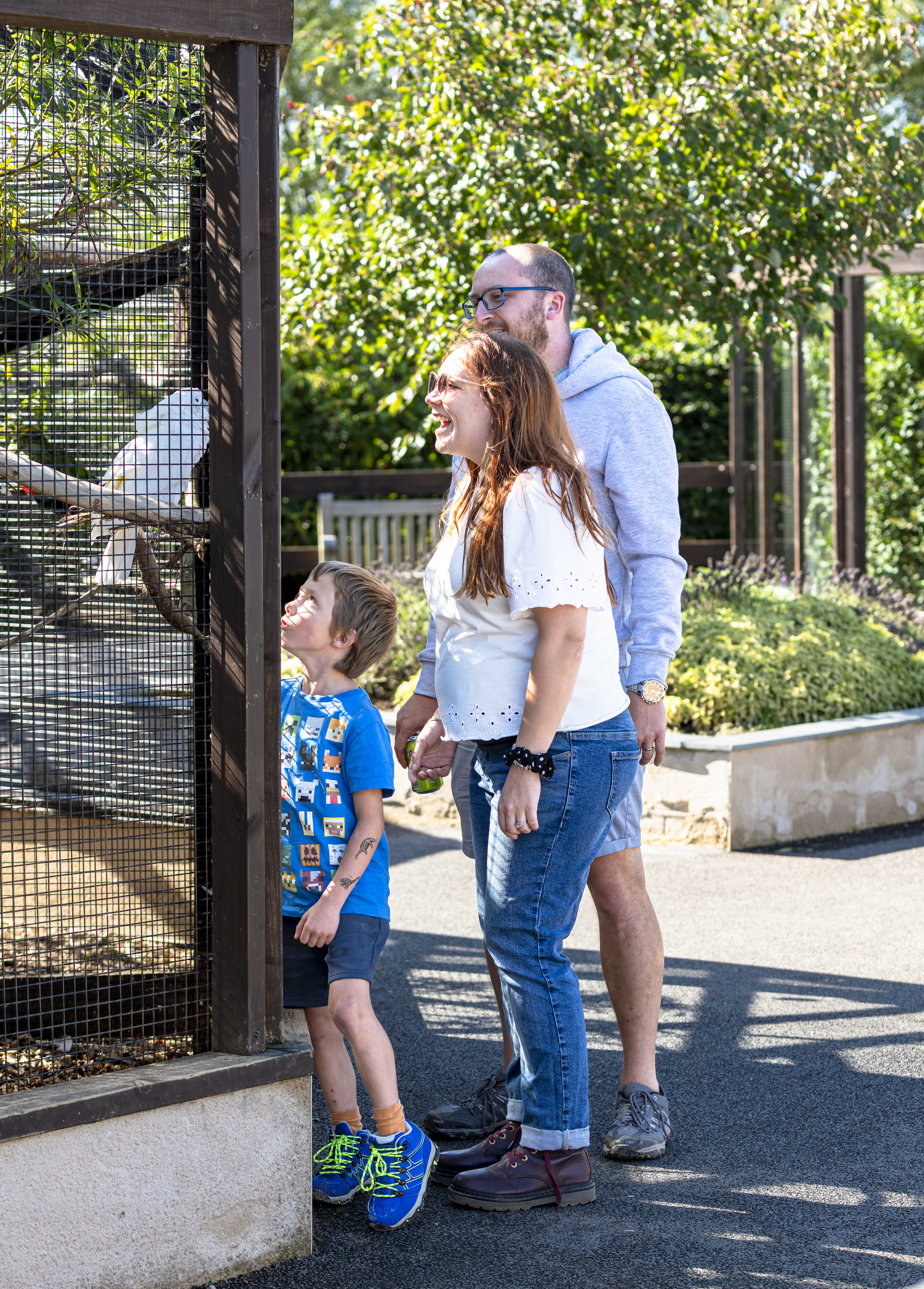 Family observing parrots in an outdoor zoo enclosure under sunny skies