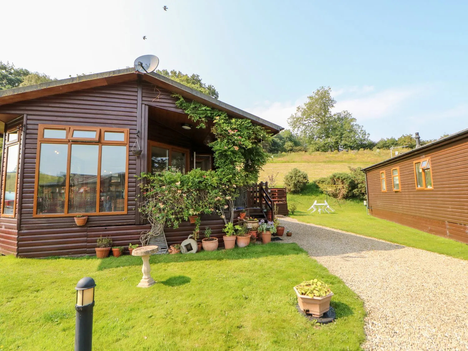 Luxury lodge exterior with wooden facade and lush green surroundings