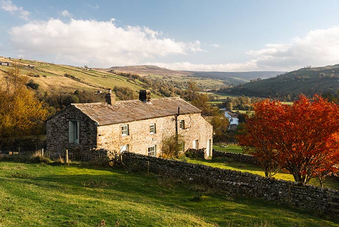 Beautiful Nettlebed nestled in the Yorkshire Dales