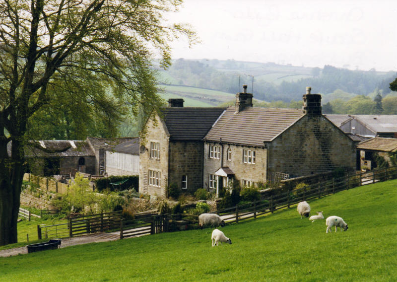 Charming stone farmhouse with lush green fields and grazing sheep