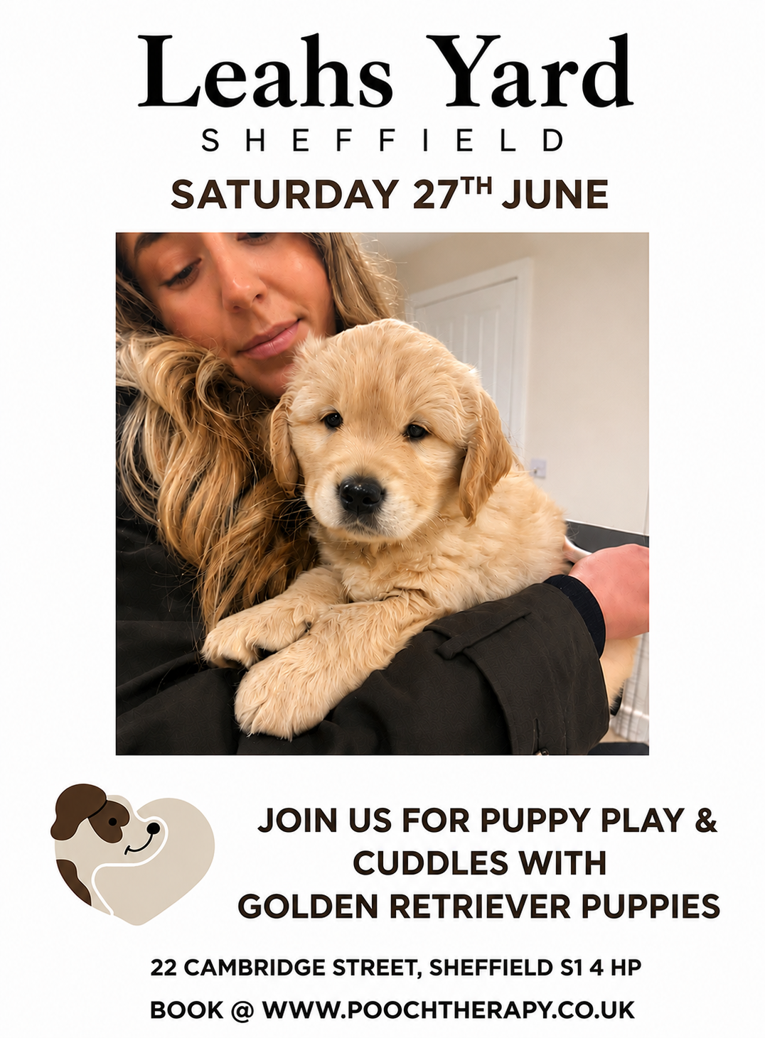 Cozy venue with a person holding a golden retriever puppy