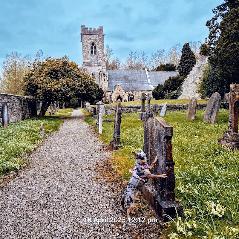 A dog stands by a gravestone in a churchyard, with St John the Baptist Church and trees in the background.