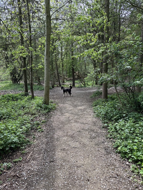 Hopewell Dog Park