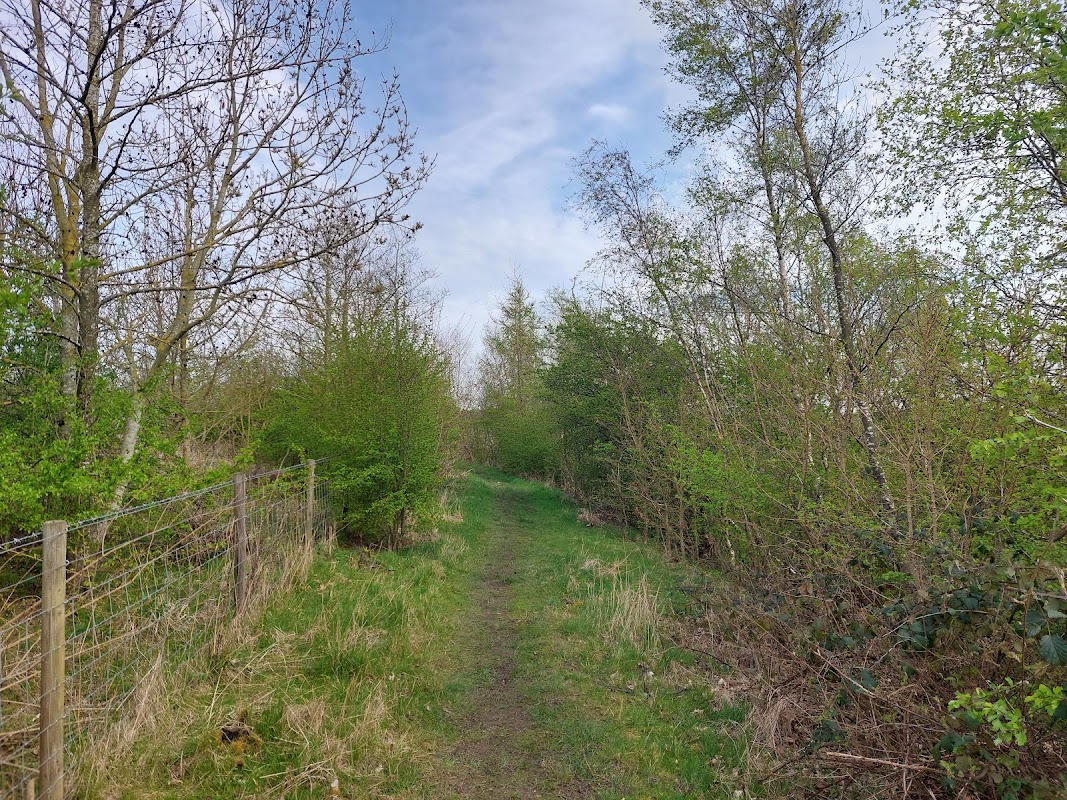 YWT Ledston Luck Nature Reserve