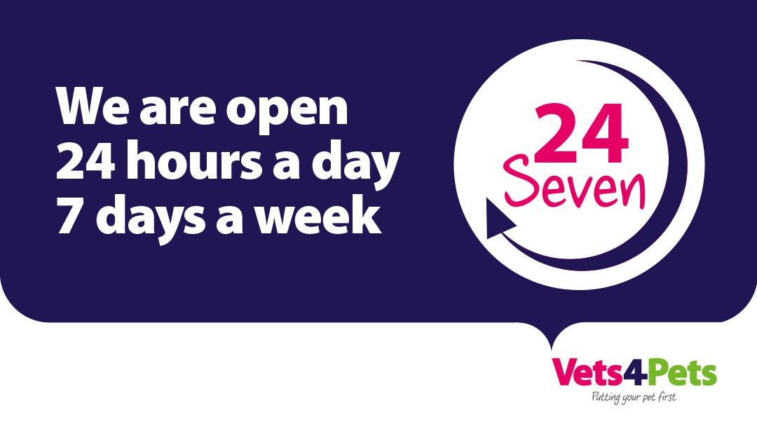 Vets for Pets Leeds Birstall 24/7 Hospital