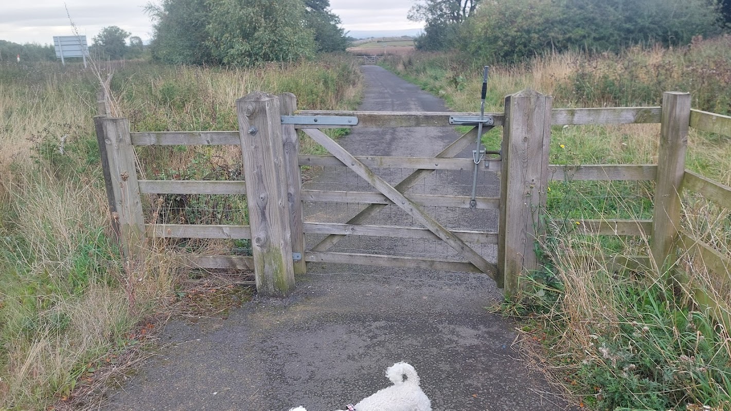 Leeming Bar Dog Park