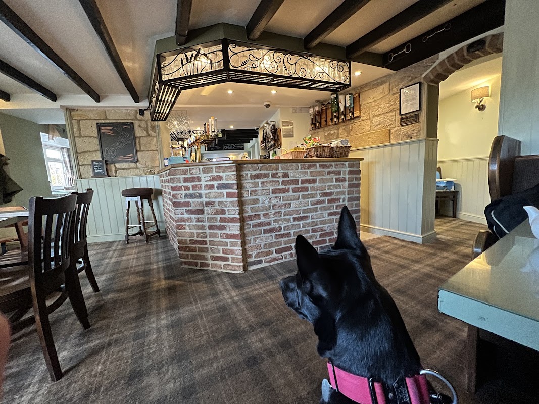 Cozy restaurant interior with wooden beams, a brick bar, and a black dog sitting in the foreground.