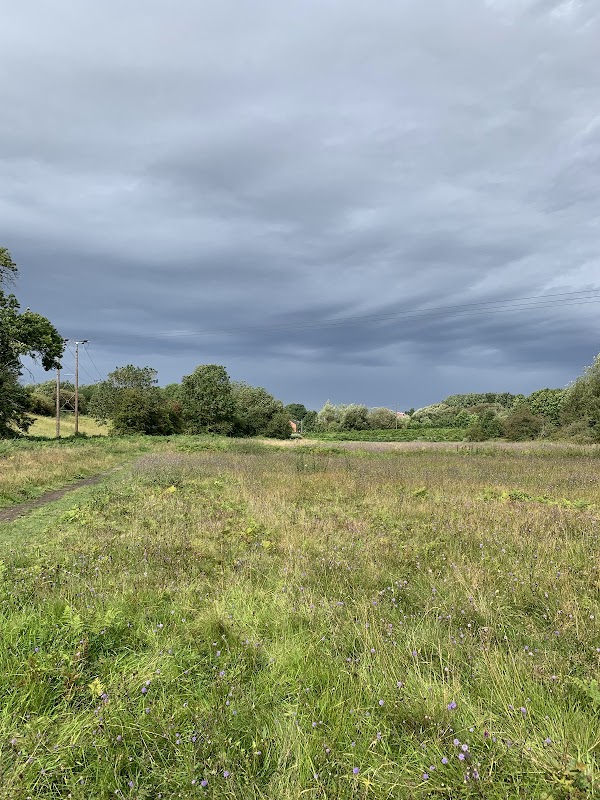 Maltby Low Common Nature Reserve