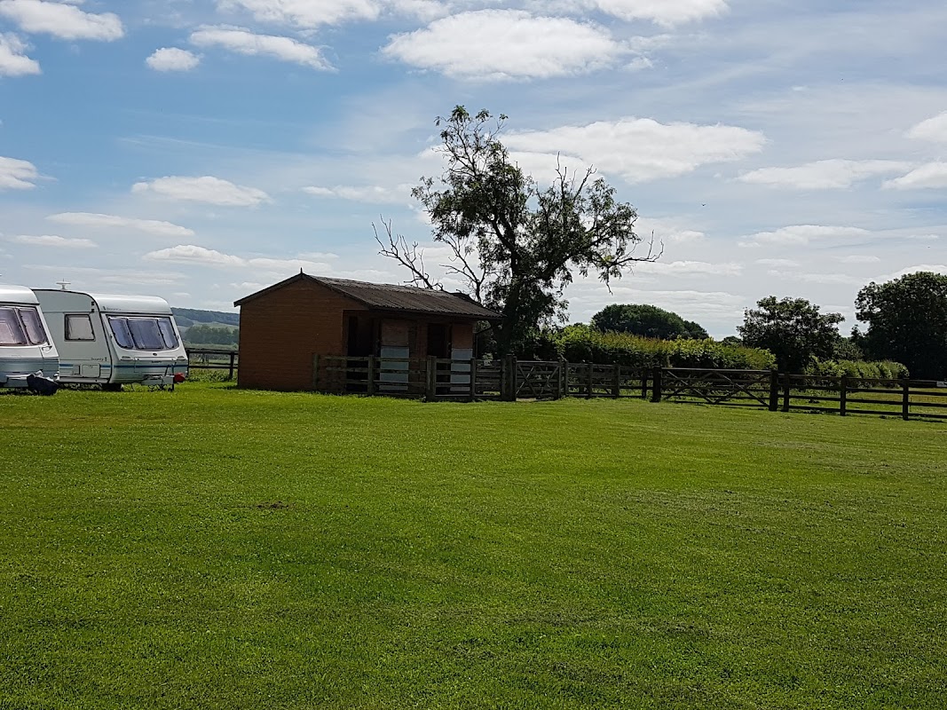 Spring Gardens - camping in malton