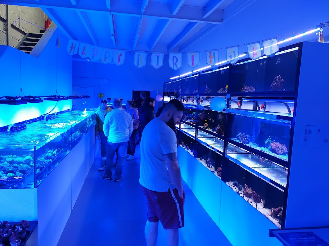 Yorkshire Reefs - Pet Shops in malton