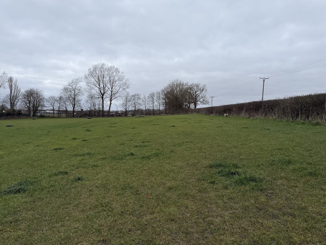 Berties Field