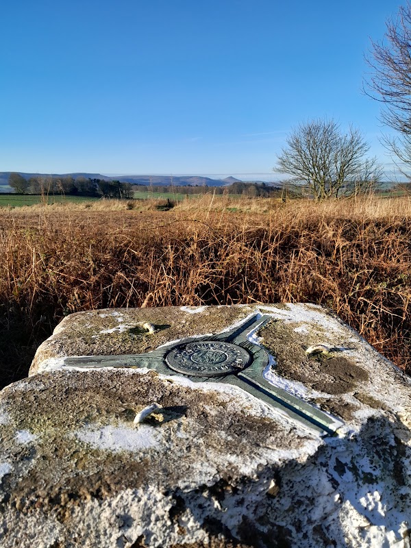 Errington Woods Trig point - historic-sites in marske
