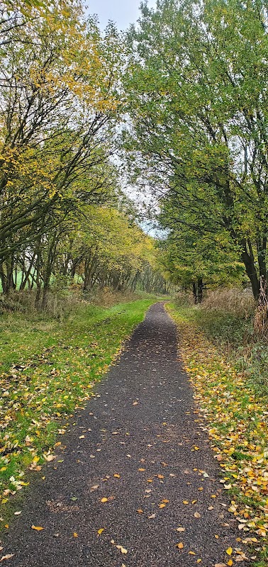 Upper Don Trail