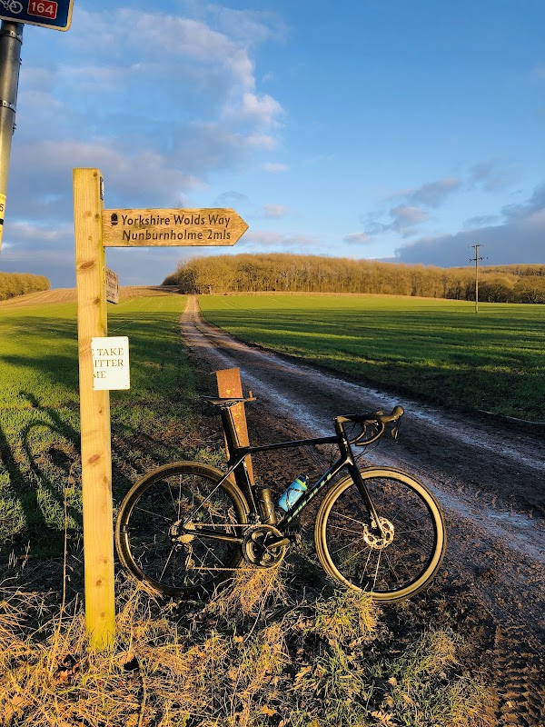 Millington Lane, Jenny Firkin Wood