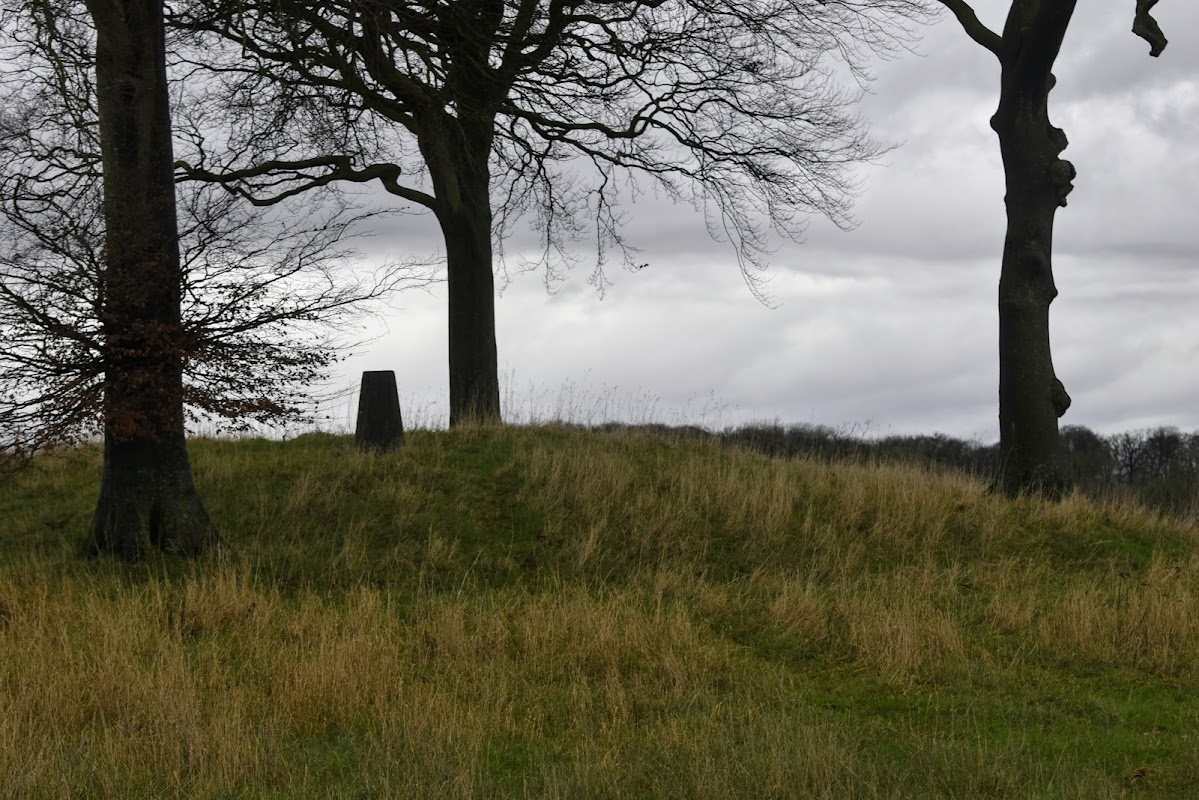Trig point on a grassy hill surrounded by bare trees under a cloudy sky in Millington, Yorkshire.