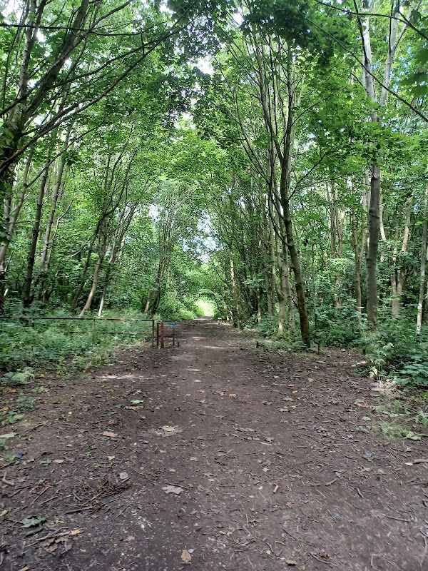 Tomcat’s wood