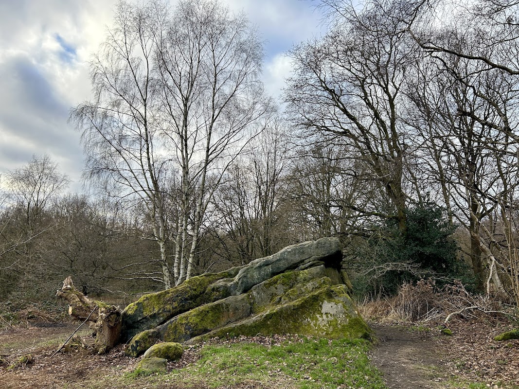 The Buck Stone