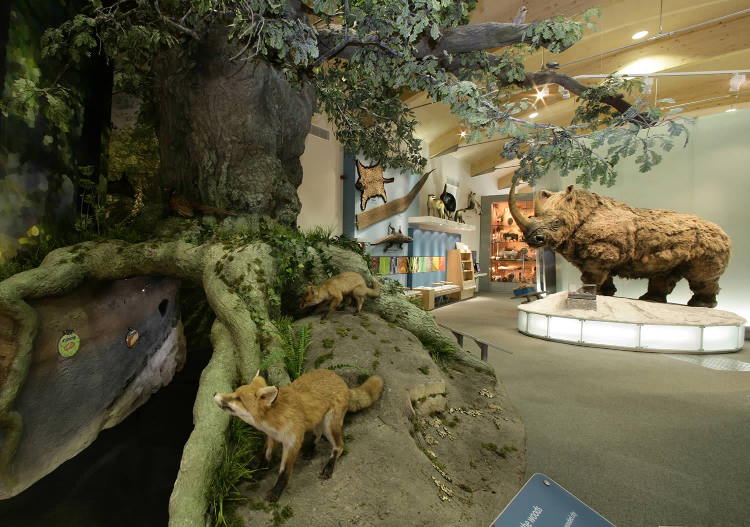 Sheffield Museums Exhibitions July 2024|||