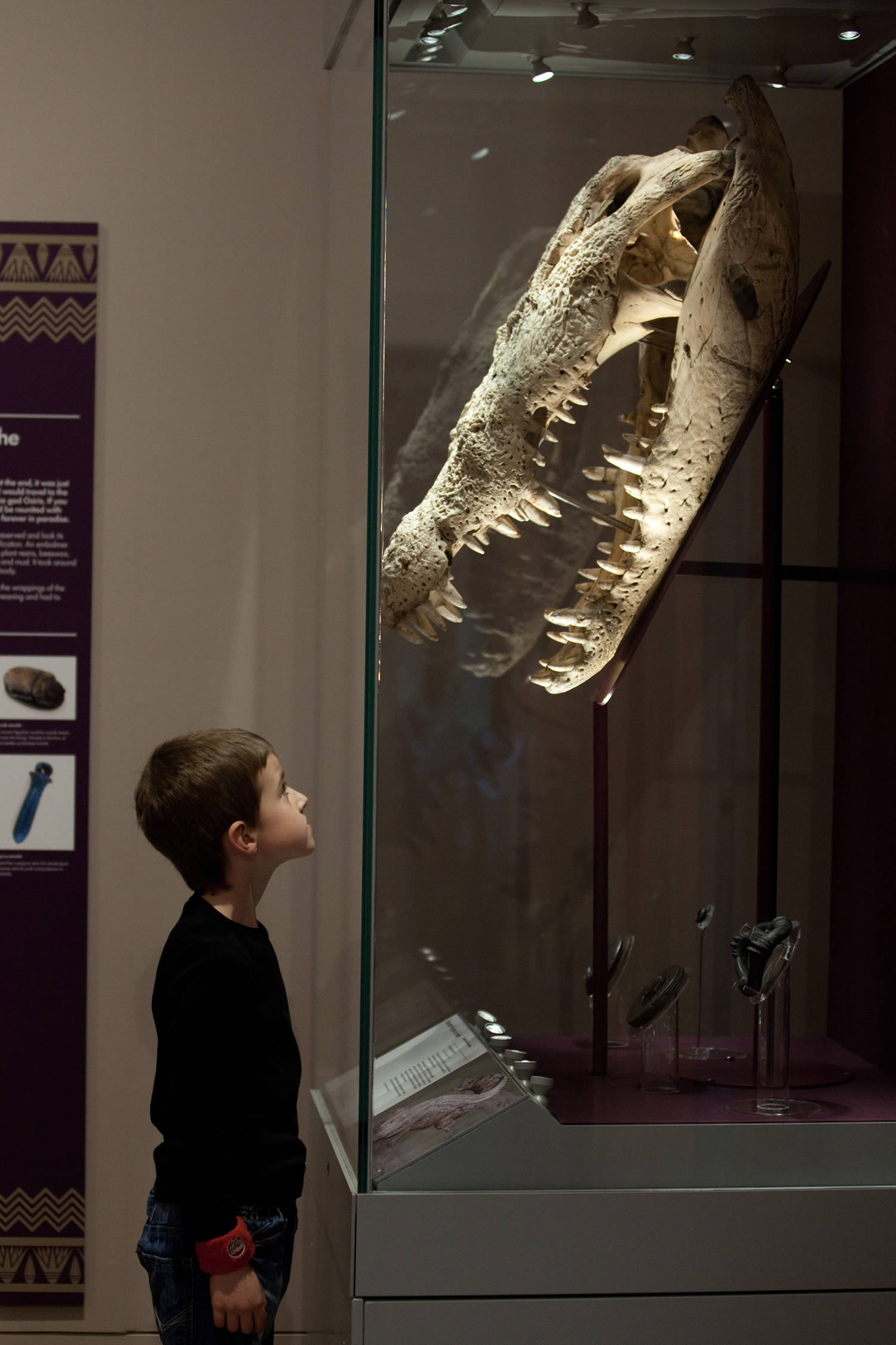 Sheffield Museums Exhibitions July 2024|||