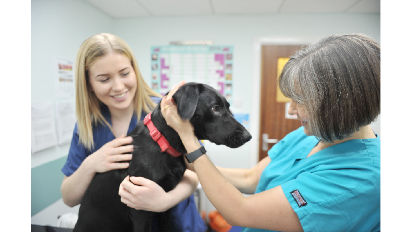 Abbeymoor Veterinary Centre, Abbey Lane