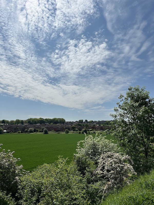 Railway Sidings - Wakefield Local Wildlife Site