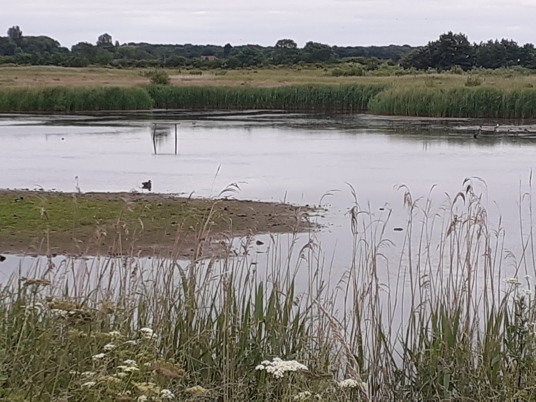North Cave Wetlands