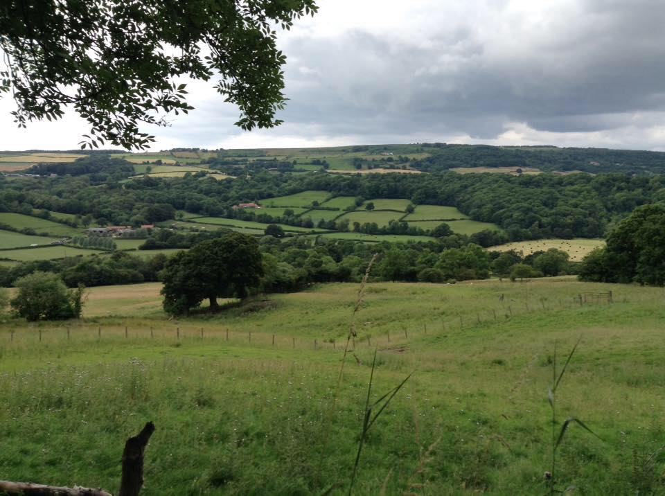 North Yorkshire Moors Cottages
