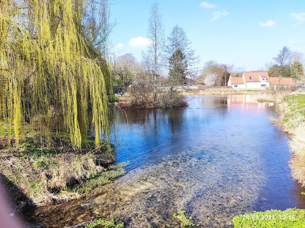 Norton Mill Pond