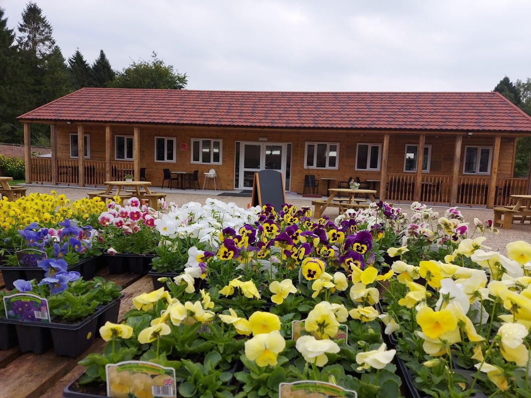 Ripon Community Link at Ripon Walled Garden - gardens in nunwick