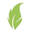 Garden Guru (US)