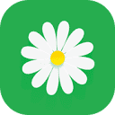 MyFlowers