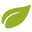 RattanTree