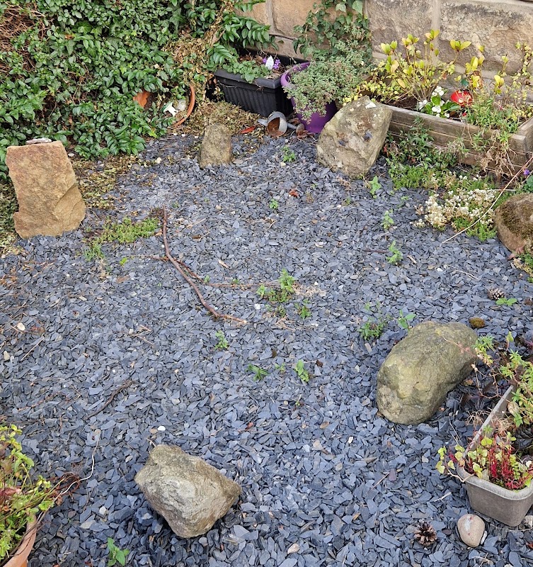 Garden stone circle.
