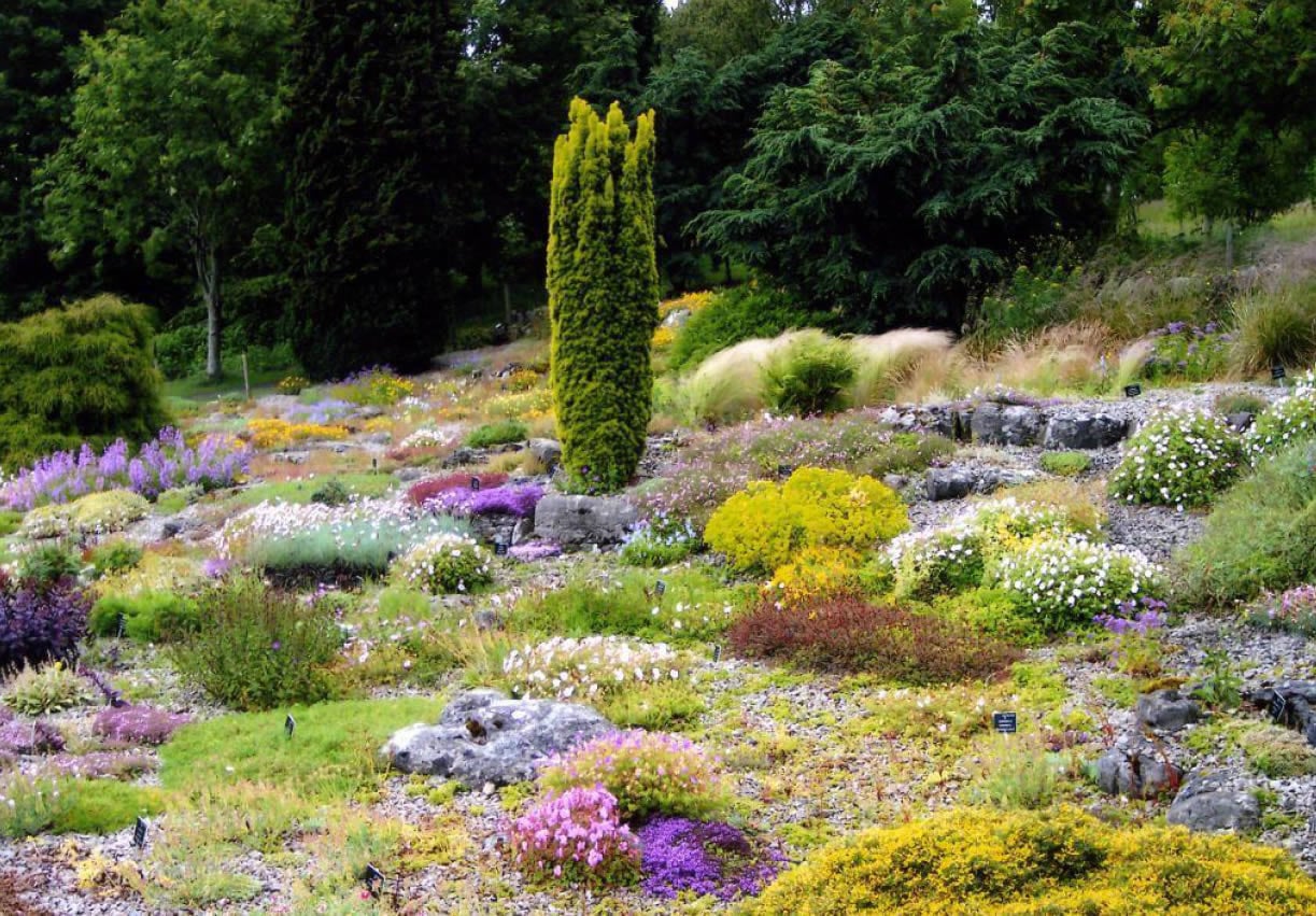 Golden Acre Park