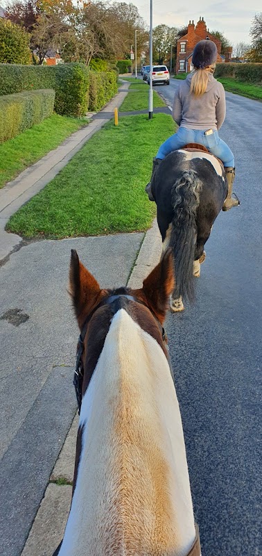 Patrington Haven Leisure Park & Equestrian Centre