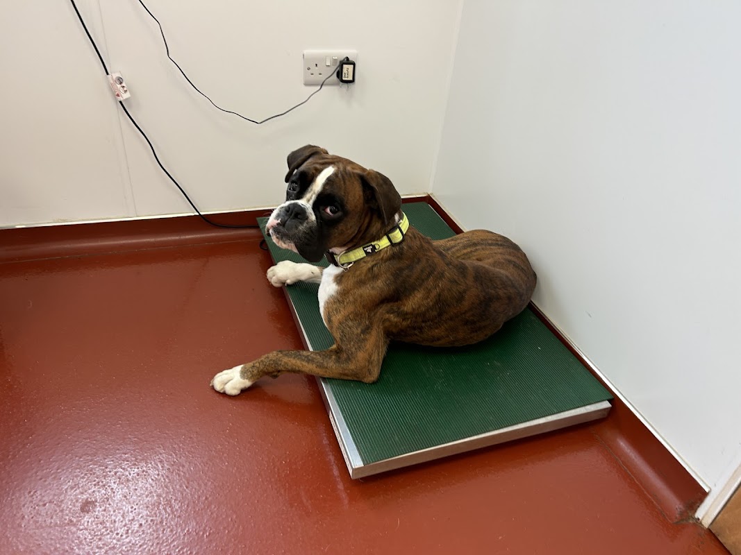 Briar Vets