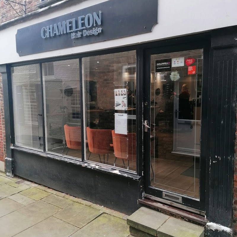 Chameleon Hair Design